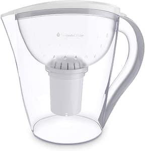 Invigorated Water FBA_COMINHKG056108 Deepa Restore Alkaline Pitcher Ionizer with 2 Long-Life Filter Purifier-Water 